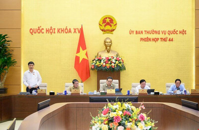 Sửa Luật Doanh nghiệp: Nhấn mạnh vai trò của doanh nghiệp tư nhân